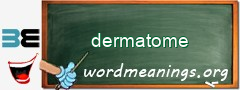 WordMeaning blackboard for dermatome